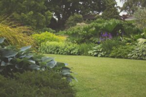 Penspectiv : Comment entretenir mon jardin ?
